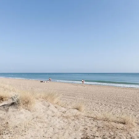 La Mar De Olas Oliva